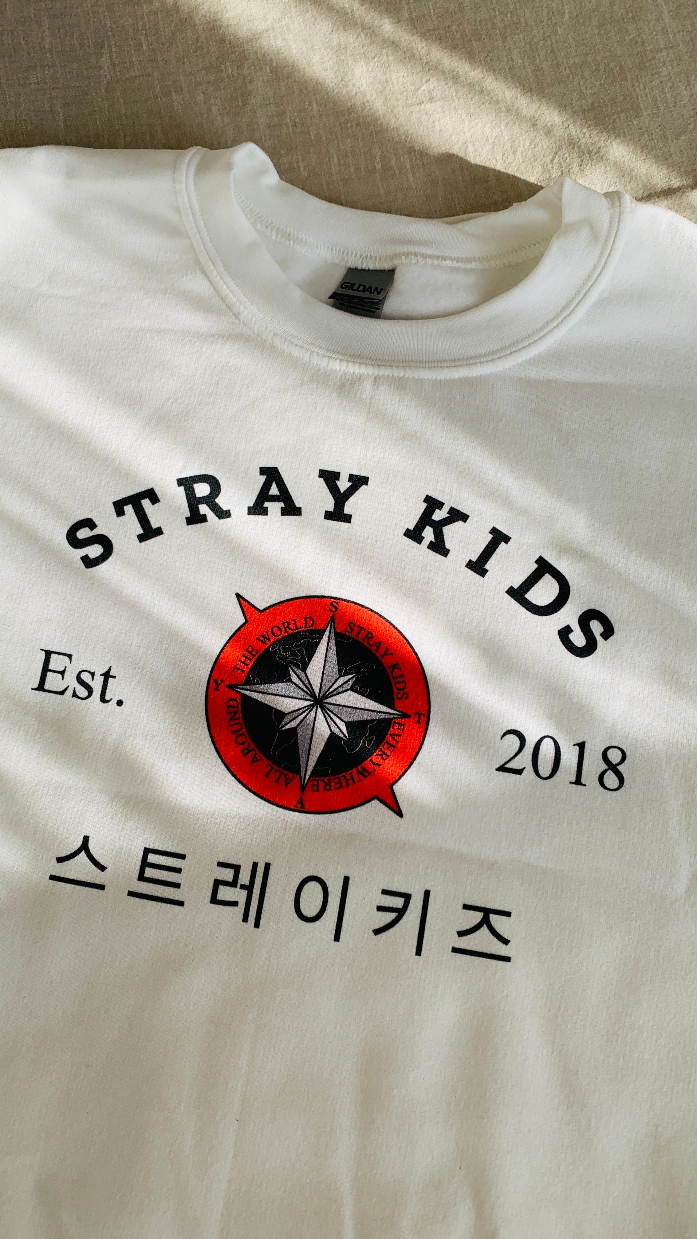 Stray 2025 kids sweatshirt